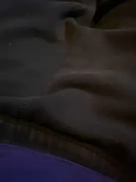 Snapshot of AdA-LoVe chatting on February 20, 2025, 1:25 am AdA-LoVe online show from February 20, 2025, 1:25 am