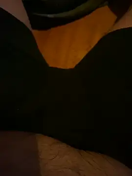 Snapshot of AdA-LoVe chatting on March 13, 2025, 1:10 am AdA-LoVe online show from March 13, 2025, 1:10 am