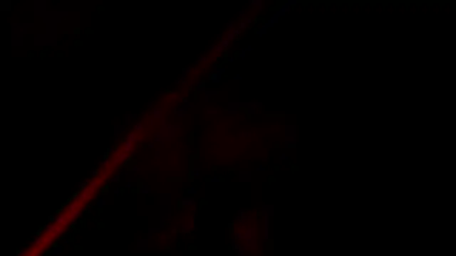 evely coelloo online show from November 4, 2025, 4:50 pm