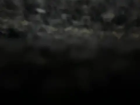 Snapshot of _my_ass_ chatting on February 9, 2025, 10:00 pm my ass online show from February 9, 2025, 10:00 pm