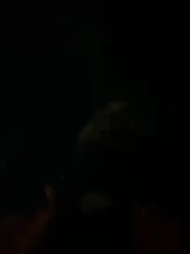 Snapshot of Rastamanzigy22 chatting on February 12, 2026, 2:06 am Rastamanzigy22 online show from February 12, 2026, 2:06 am