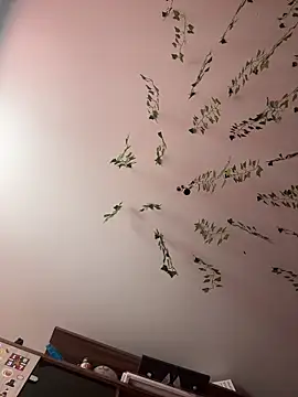 -Sexy Barbie- online show from February 26, 2025, 3:42 am