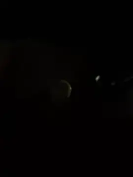 TattMan13 online show from March 14, 2026, 5:13 am