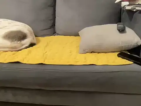 4small4inchlol online show from January 10, 2026, 3:25 pm