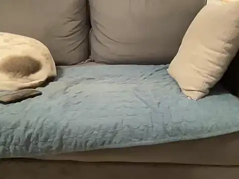 Snapshot of 4small4inchlol chatting on February 20, 2026, 11:49 pm 4small4inchlol online show from February 20, 2026, 11:49 pm