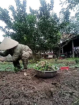 Snapshot of Fuckmehard2xx chatting on February 23, 2025, 2:51 am Fuckmehard2xx online show from February 23, 2025, 2:51 am