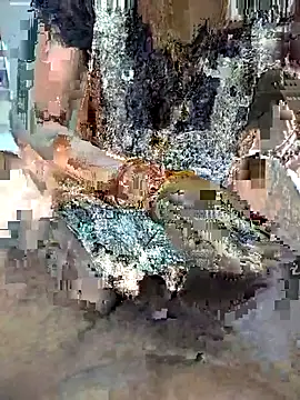 FeltedEuropium online show from November 22, 2025, 9:19 am