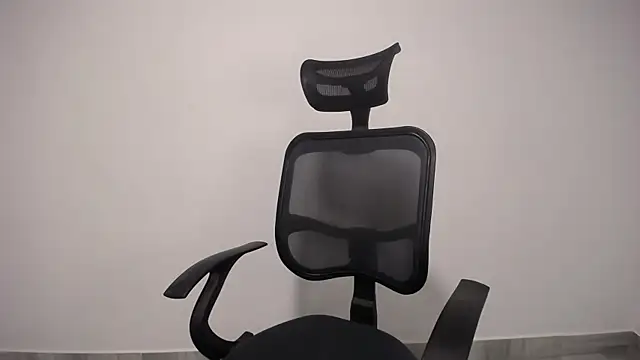 Snapshot of present_the_magic chatting on February 9, 2025, 11:25 pm present the magic online show from February 9, 2025, 11:25 pm