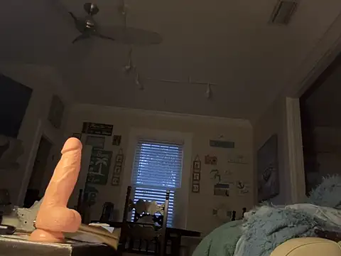 Snapshot of cloudy_switch chatting on December 28, 2024, 12:24 pm cloudy switch online show from December 28, 2024, 12:24 pm