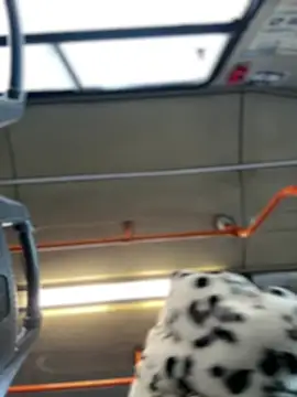 Milkyy wway online show from January 19, 2025, 7:36 am