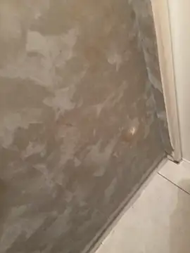 voliv34 online show from February 13, 2026, 1:51 pm