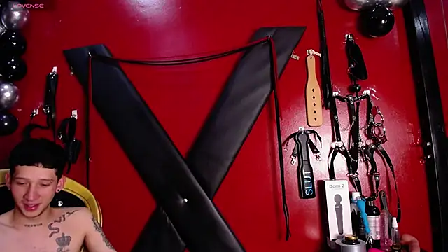 Snapshot of alexa_n_alex chatting on February 19, 2025, 6:54 pm alexa n alex online show from February 19, 2025, 6:54 pm