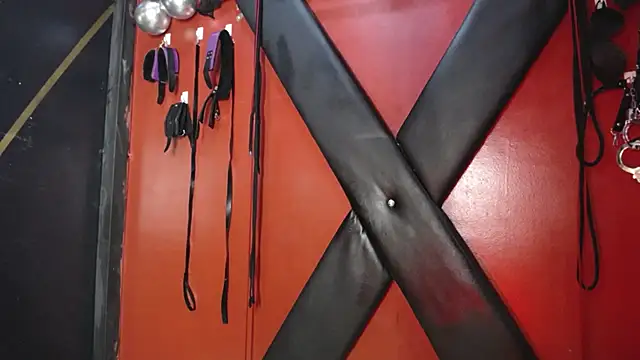 Snapshot of alexa_n_alex chatting on March 1, 2025, 10:21 pm alexa n alex online show from March 1, 2025, 10:21 pm