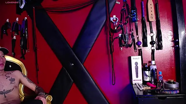 Snapshot of alexa_n_alex chatting on March 10, 2025, 7:50 pm alexa n alex online show from March 10, 2025, 7:50 pm