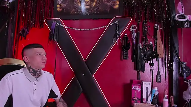 Snapshot of alexa_n_alex chatting on February 9, 2026, 8:24 pm alexa n alex online show from February 9, 2026, 8:24 pm