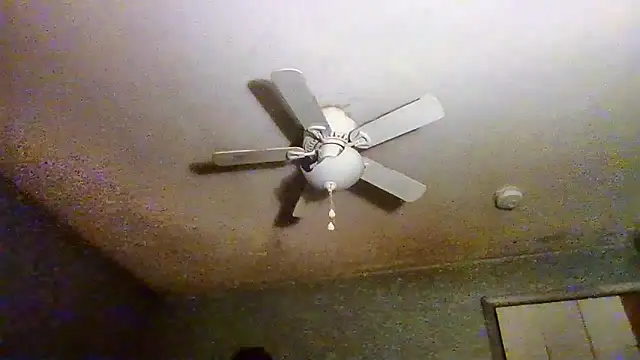 VanceFontaine online show from April 20, 2026, 5:05 pm