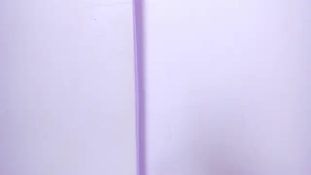 celestelewis online show from February 27, 2025, 7:37 pm