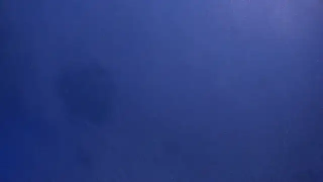 celestelewis online show from March 19, 2025, 7:49 pm