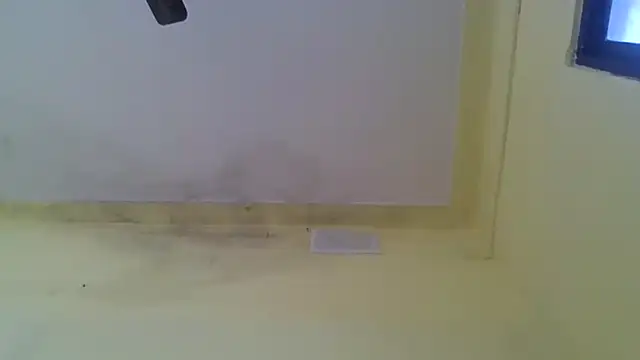 Nitya-Mahesh online show from January 20, 2025, 9:24 am