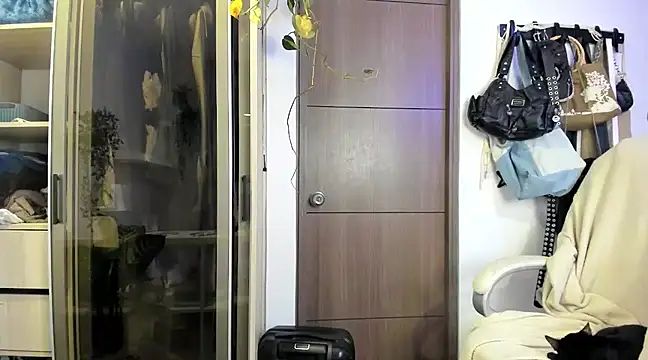 Snapshot of santy-kitty chatting on January 25, 2025, 4:13 am santy-kitty online show from January 25, 2025, 4:13 am