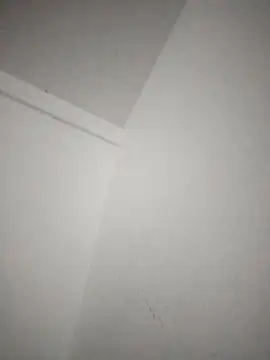 Saiyantiki online show from January 10, 2026, 8:27 am