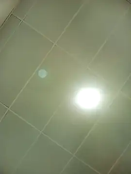 juanpr 1-15 online show from November 22, 2025, 8:52 pm