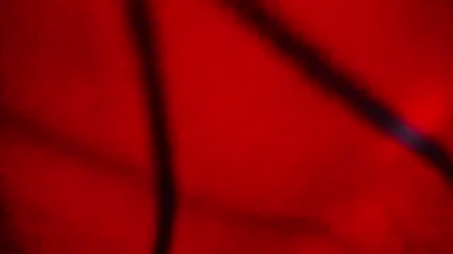 Snapshot of Nathaly_love96 chatting on February 20, 2026, 7:47 pm Nathaly love96 online show from February 20, 2026, 7:47 pm