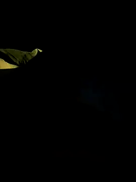 bigdickbandot online show from November 18, 2025, 11:03 am