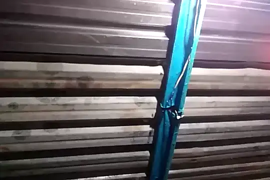 bull Giant online show from December 1, 2024, 9:48 pm