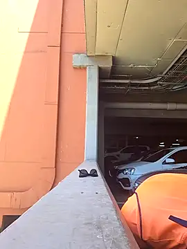 bull Giant online show from December 30, 2024, 11:15 am