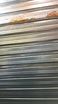 bull Giant online show from January 30, 2025, 9:36 pm