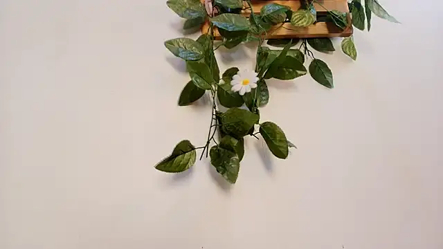 mss samy online show from February 13, 2026, 3:13 am