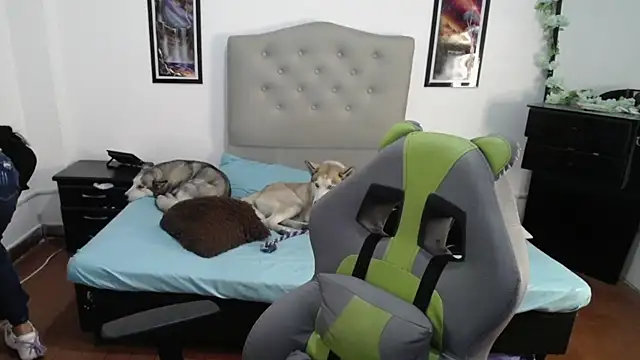 Nalaa Sc online show from March 1, 2025, 4:26 am