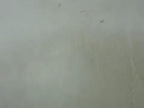 Snapshot of dickrus0077 chatting on February 25, 2025, 5:25 pm dickrus0077 online show from February 25, 2025, 5:25 pm