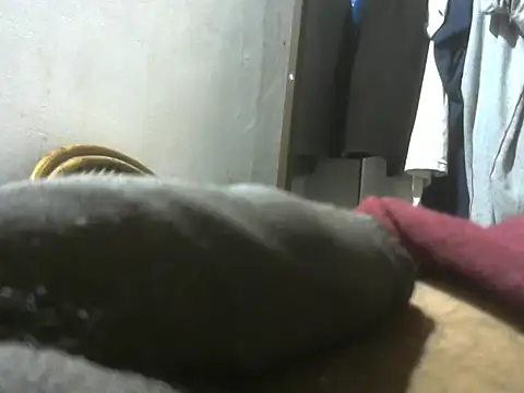 Snapshot of dickrus0077 chatting on October 9, 2025, 2:20 am dickrus0077 online show from October 9, 2025, 2:20 am