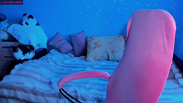 Traneba online show from April 14, 2026, 11:05 am