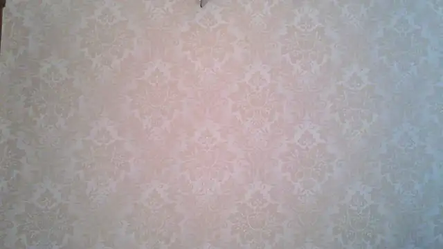 Kashtanka  online show from November 4, 2025, 8:57 am