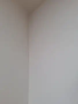 D vid99 online show from November 12, 2025, 2:06 pm