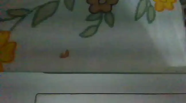 biggest lund  online show from December 28, 2024, 12:45 pm