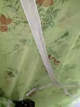 sids0 online show from December 9, 2024, 6:14 pm