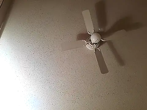 big8dall online show from October 22, 2025, 7:52 am