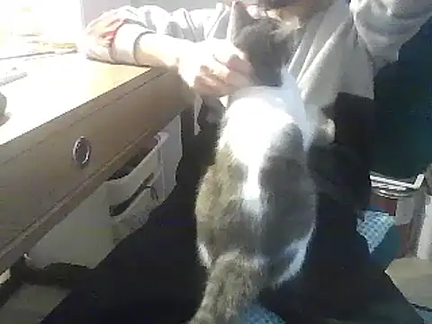 Snapshot of kallaviz chatting on January 7, 2026, 7:16 pm kallaviz online show from January 7, 2026, 7:16 pm