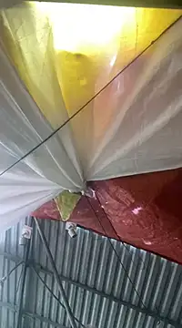 Snapshot of Cesywet chatting on February 7, 2025, 8:33 am Cesywet online show from February 7, 2025, 8:33 am