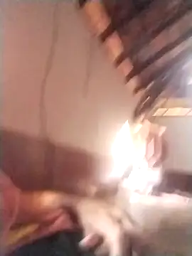 rajshank online show from December 29, 2024, 10:01 am