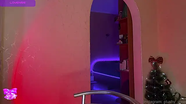 Snapshot of plushy_pixie chatting on December 31, 2024, 5:00 am plushy pixie online show from December 31, 2024, 5:00 am