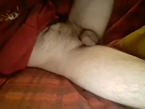 Snapshot of Ariete80s chatting on March 10, 2025, 6:16 am Ariete80s online show from March 10, 2025, 6:16 am