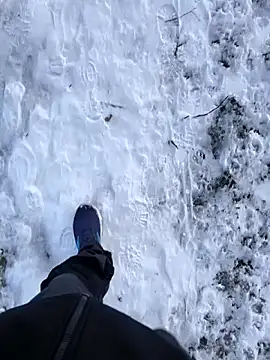 Snapshot of OdinWolf1990 chatting on January 10, 2026, 8:49 am OdinWolf1990 online show from January 10, 2026, 8:49 am