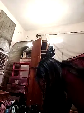 Snapshot of SINUECASTILLO chatting on December 12, 2024, 7:41 am SINUECASTILLO online show from December 12, 2024, 7:41 am