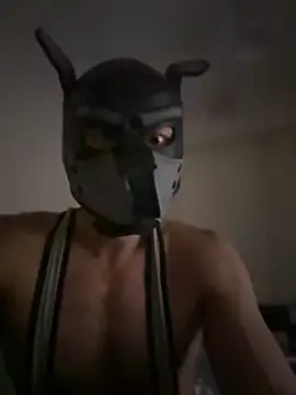 Snapshot of goodbtmlistentop chatting on February 17, 2026, 11:29 am goodbtmlistentop online show from February 17, 2026, 11:29 am