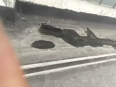 Gururonny07 online show from January 15, 2025, 5:29 am